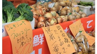 '다마네기' 등 농업 속 일본용어 사라진다